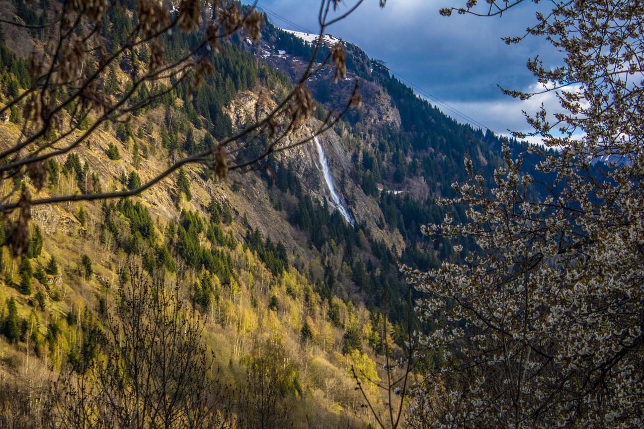 Chalet Rostaing Vaujany Exteriör bild